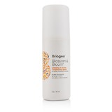 Briogeo Blossom & Bloom Ginseng + Biotin